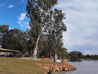 Loxton Riverfront Bank Stabilisation - Complete